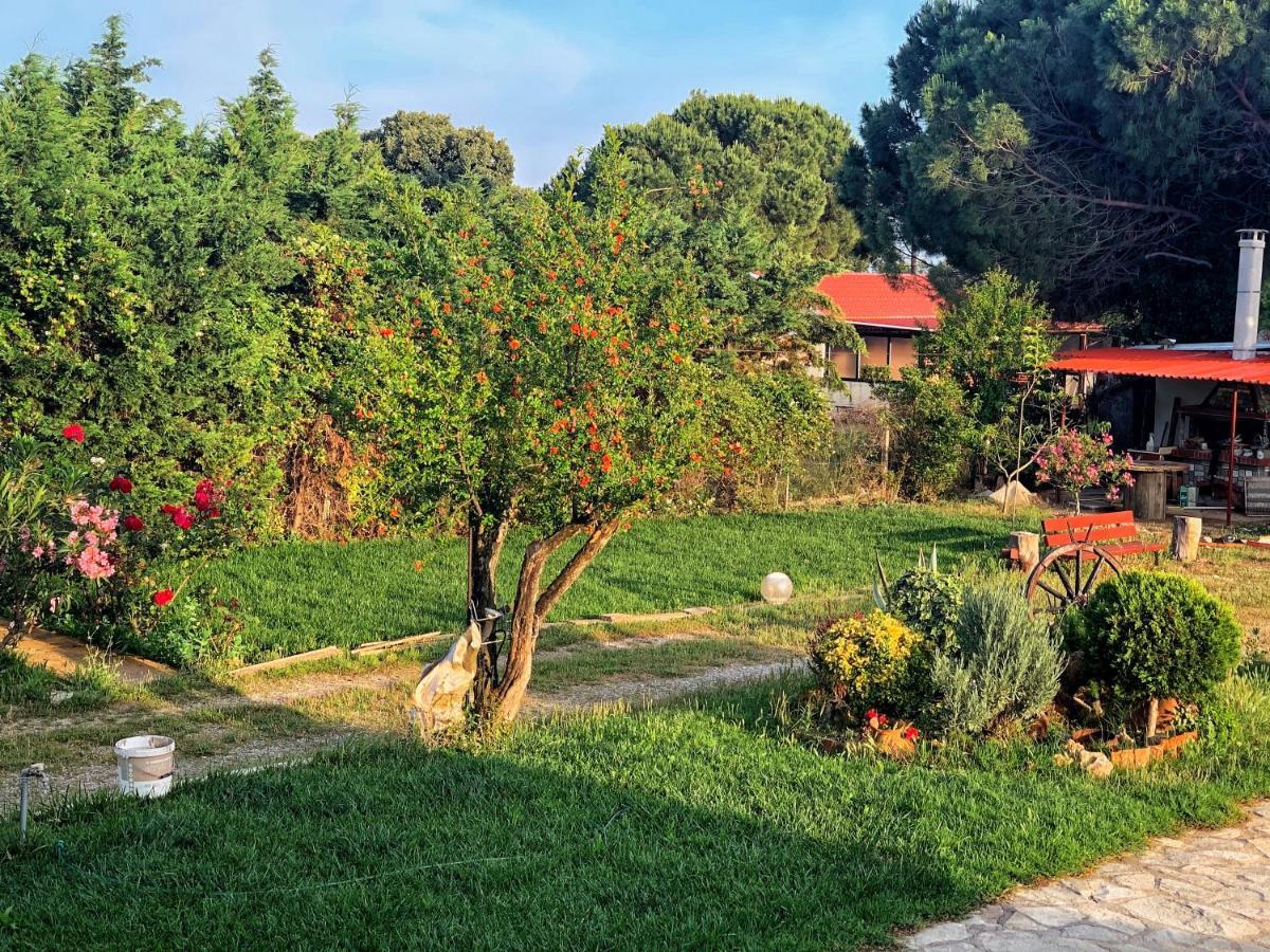 הוילה Mesimvria  Ivonnis Garden מראה חיצוני תמונה