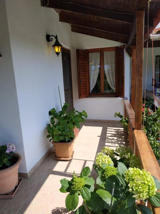 הוילה Mesimvria  Ivonnis Garden מראה חיצוני תמונה