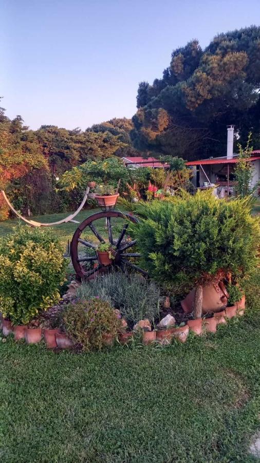 הוילה Mesimvria  Ivonnis Garden מראה חיצוני תמונה